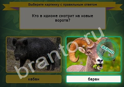 Решения на игру Выбирайка Уровень 4863