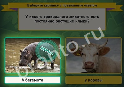 Помощь на игру ВК Выбирайка Уровень 4864