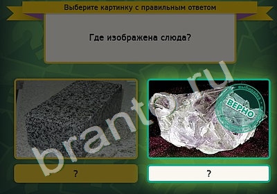 игра Выбирайка ответ на Уровень 4870