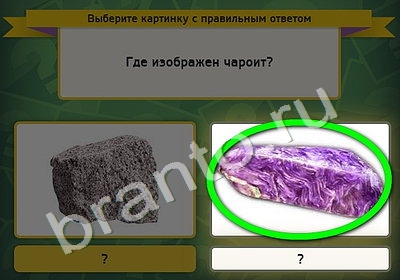 Игра Выбирайка ответы Уровень 4877