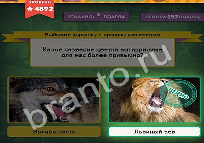 Подсказки на игру Выбирайка Уровень 4892
