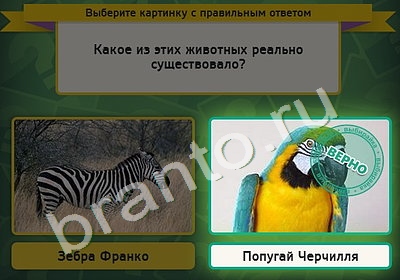 Решения на игру Выбирайка Уровень 4893