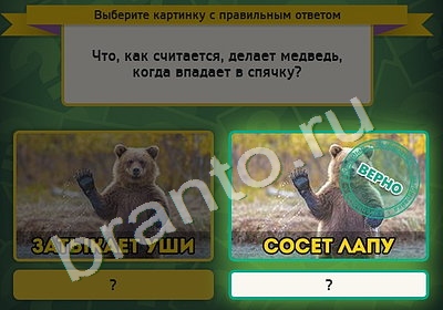 Выбирайка игра ответы Уровень 4903