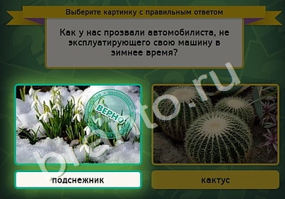 Выбирайка игра подсказки Уровень 4904