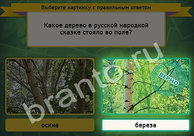 Игра Выбирайка подсказки Уровень 4908