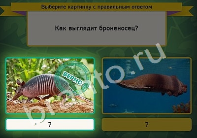 Игра Выбирайка подсказки Уровень 4918