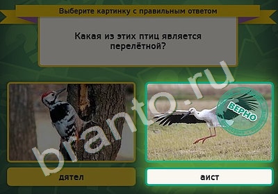 Выбирайка игра ответы Уровень 4933