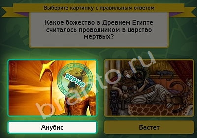 Помощь на игру ВК Выбирайка Уровень 4954