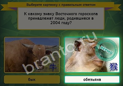 Выбирайка решения Уровень 4962