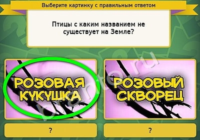 Выбирайка игра помощь Уровень 4965