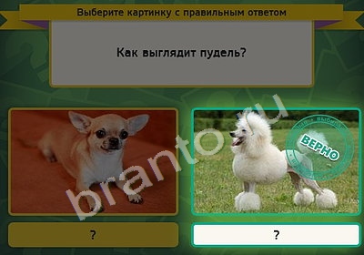 Игра Выбирайка подсказки Уровень 4968