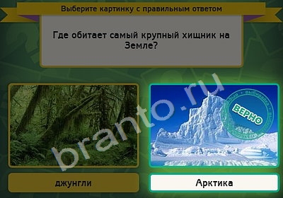 Выбирайка решения Уровень 4972