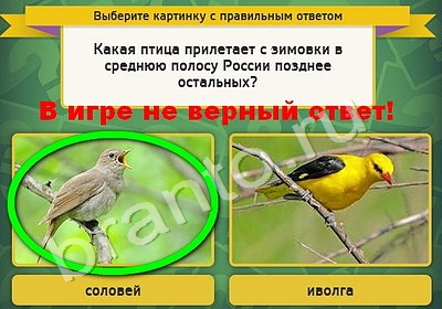 ответы на игру Выбирайка в одноклассниках Уровень 5011