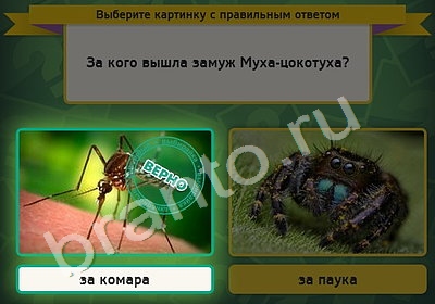 игра Выбирайка ответ на Уровень 5020