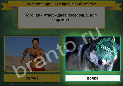 Игра Выбирайка ответы Уровень 5027