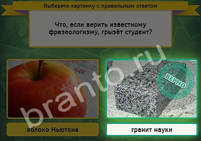 Выбирайка решения Уровень 5032