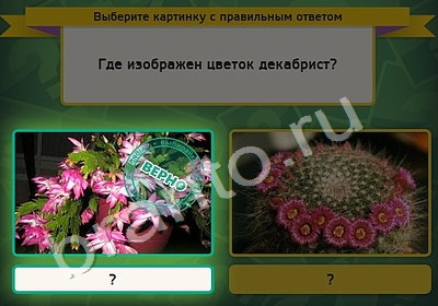 Подсказки на игру Выбирайка Уровень 5042