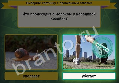 Выбирайка подсказки в контакте Уровень 5049