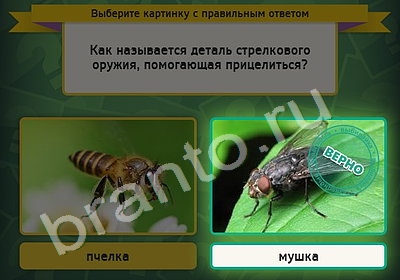 решебник на игру Выбирайка Уровень 5051