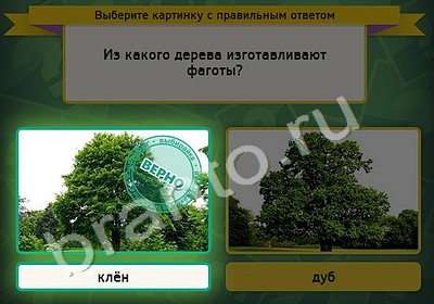 Выбирайка игра ответы Уровень 5053