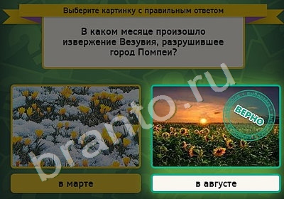 игра Выбирайка помощь Уровень 5059