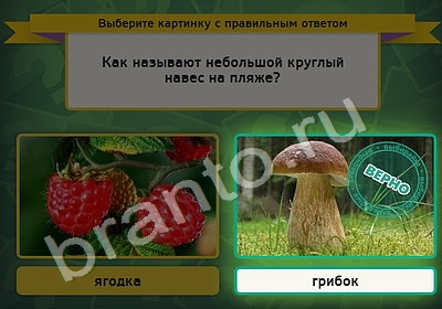 Выбирайка решения Уровень 5062