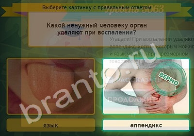 Выбирайка игра ответы Уровень 5063