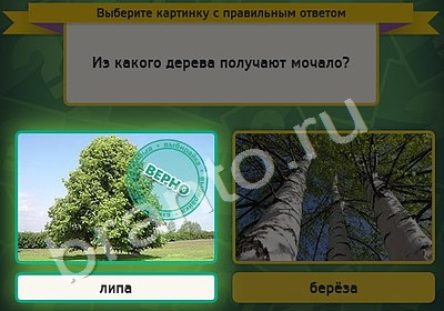 Решения на игру Выбирайка Уровень 5073