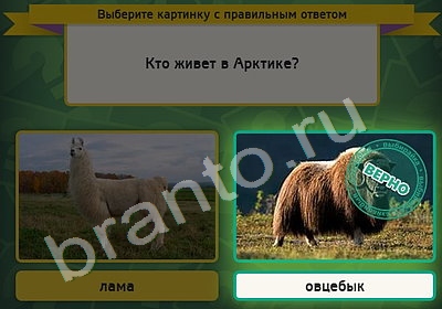 Выбирайка подсказки в контакте Уровень 5079