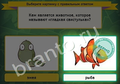 Выбирайка игра ответы Уровень 5083