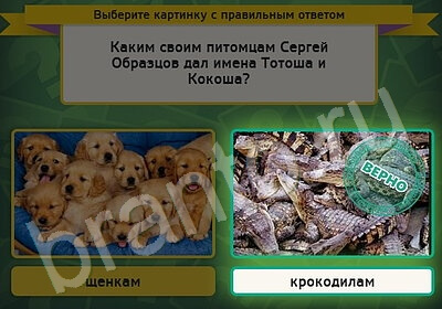 Выбирайка игра подсказки Уровень 5114