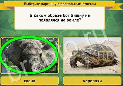 Решения на игру Выбирайка Уровень 5163