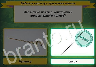 игра Выбирайка ответ на Уровень 5170