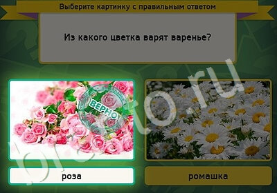 Выбирайка игра помощь Уровень 5175