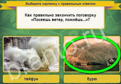 Игра Выбирайка ответы Уровень 5187