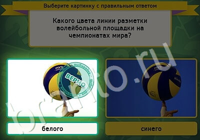 Помощь на игру ВК Выбирайка Уровень 5194