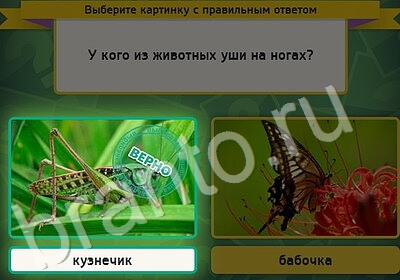 ответы на игру в одноклассниках Выбирайка Уровень 5196