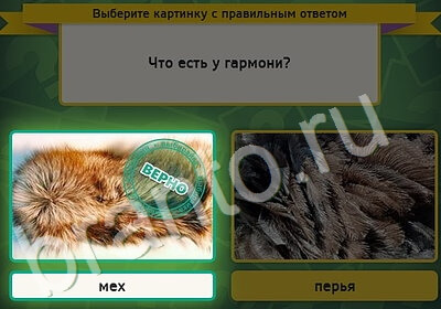 Выбирайка решения Уровень 5202