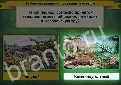 Игра Выбирайка подсказки Уровень 5208