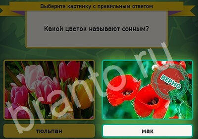 Выбирайка решения Уровень 5212