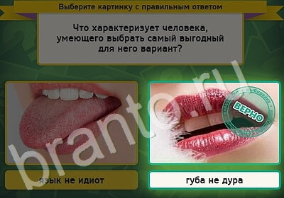 Выбирайка игра подсказки Уровень 5214