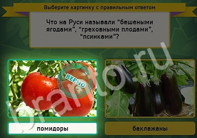 Выбирайка игра подсказки Уровень 5234