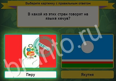 игра Выбирайка ответ на Уровень 5240