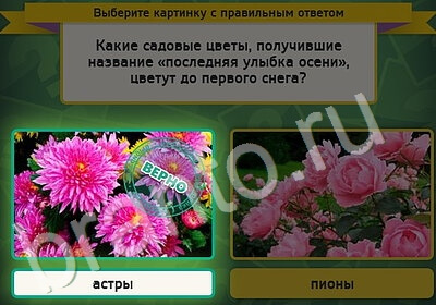 Выбирайка игра помощь Уровень 5245