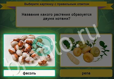 Помощь на игру ВК Выбирайка Уровень 5254