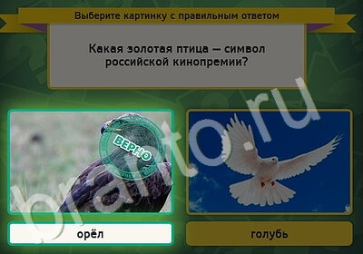 ответы на игру в одноклассниках Выбирайка Уровень 5256