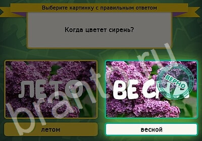 Игра Выбирайка ответы Уровень 5267