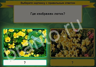 решебник на игру Выбирайка Уровень 5301