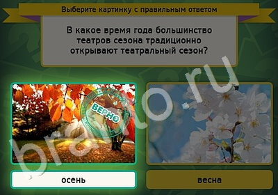 Решения на игру Выбирайка Уровень 5313