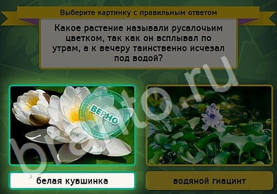 ответы на игру в одноклассниках Выбирайка Уровень 5316